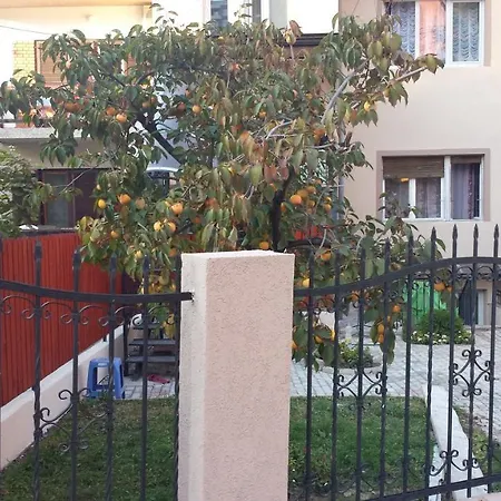 Appartement Jani ​​center *