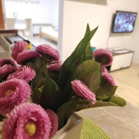Appartement Jani ​​center